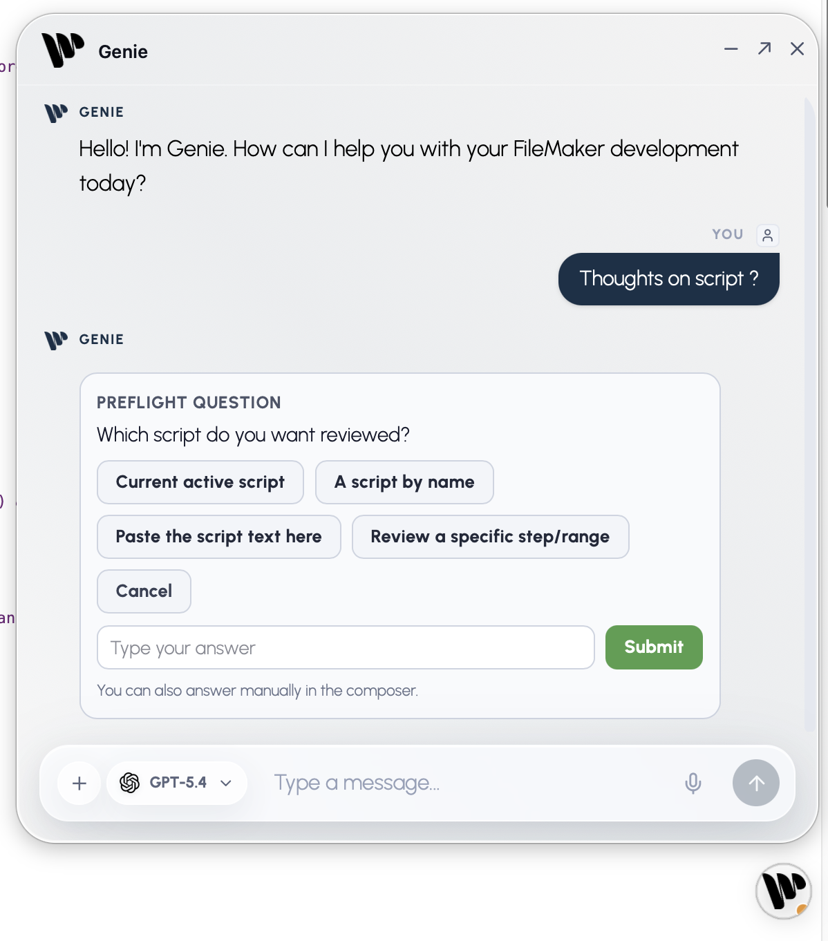 AGENT preflight question offering specific script-review choices and a manual answer field